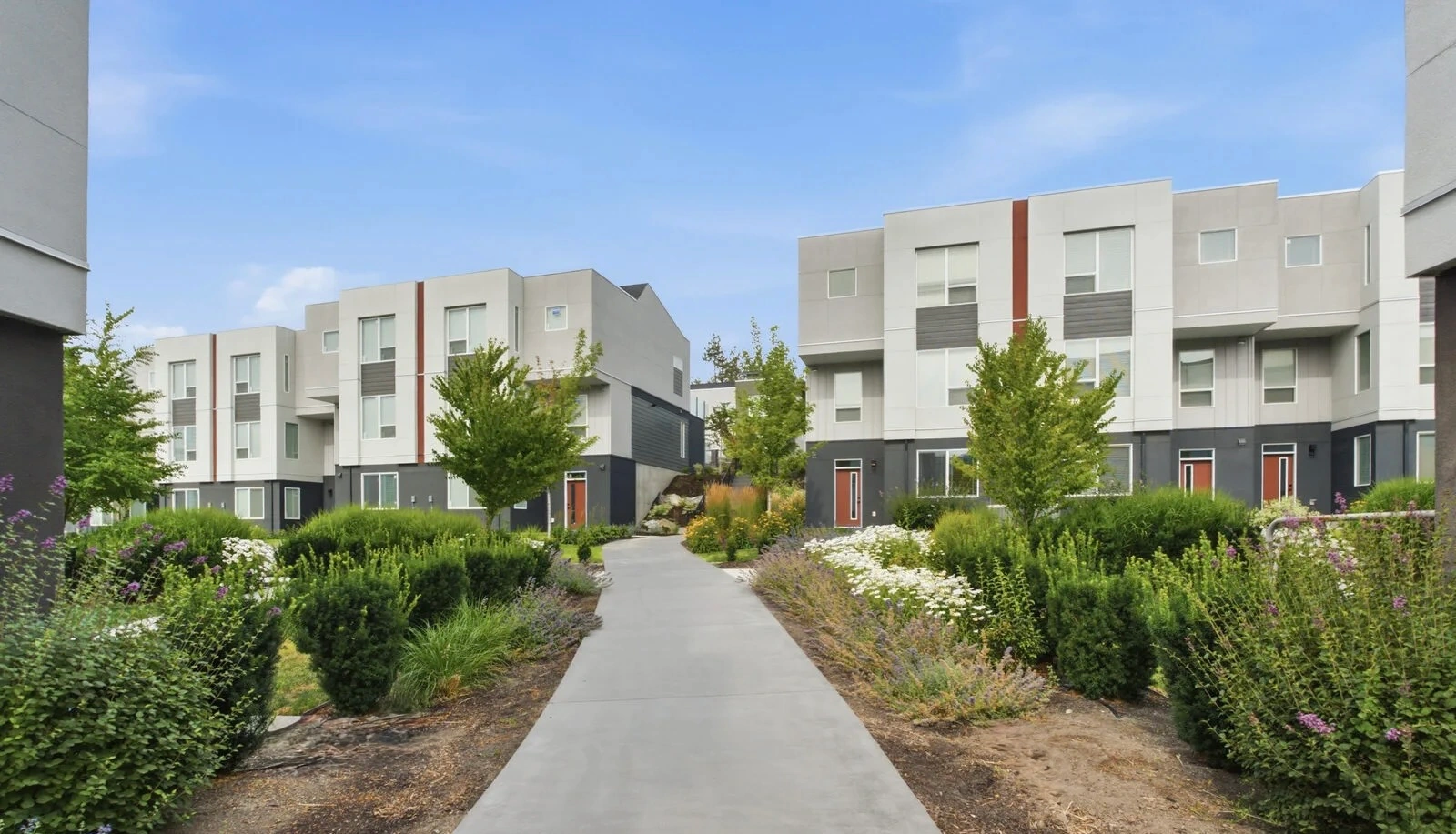 Landscaped pathway between Academy Ridge townhomes on the living street