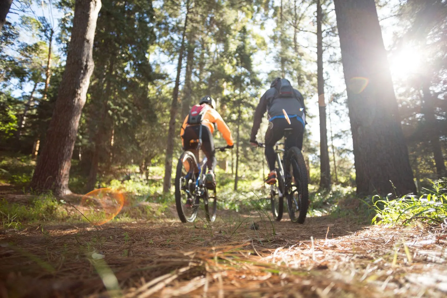 Mountain biking the trail network that borders Academy Ridge
